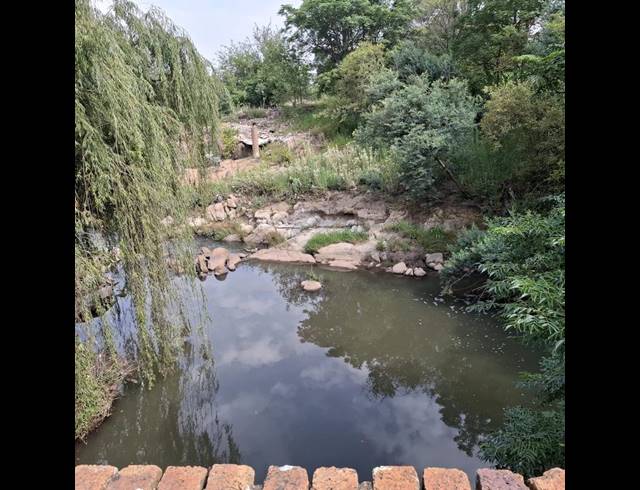 LAND FOR SALE IN RIETFONTEIN